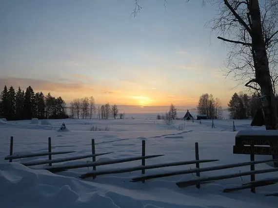 Talvinen maisema auringonlaskussa Rovaniemellä