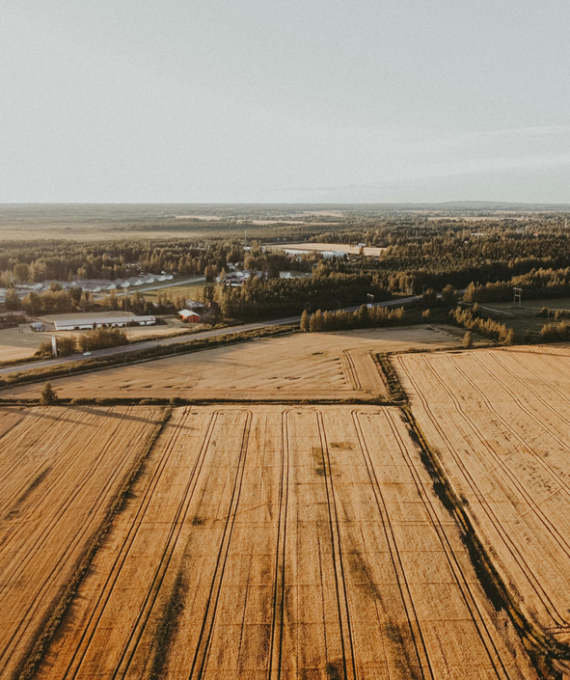 Maisemakuva jossa näkyy peltoa sekä maatalousrakennuksia.