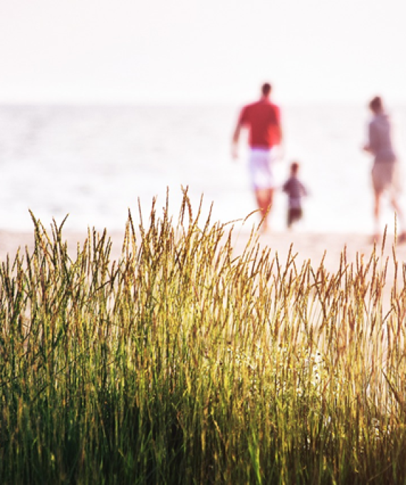 Kuva rannalta jossa taustalla näkyy lapsiperhe, kuvan edustalla näkyy selvästi kasvavan heinää.